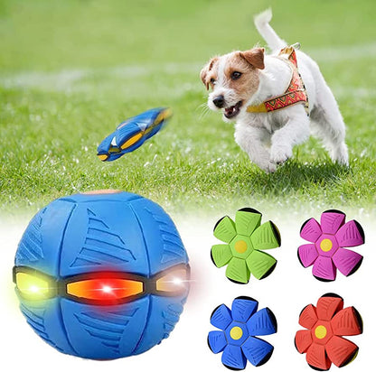 Fetch&Purr™ Dog Frisbee