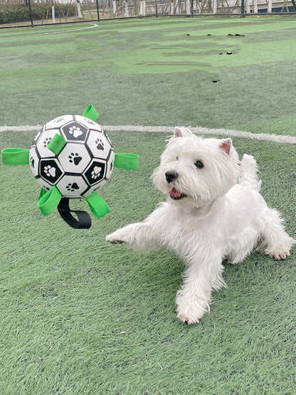 Fetch & Purr football-shaped dog toy with a cute paw print design, made for active pets to chew and play.