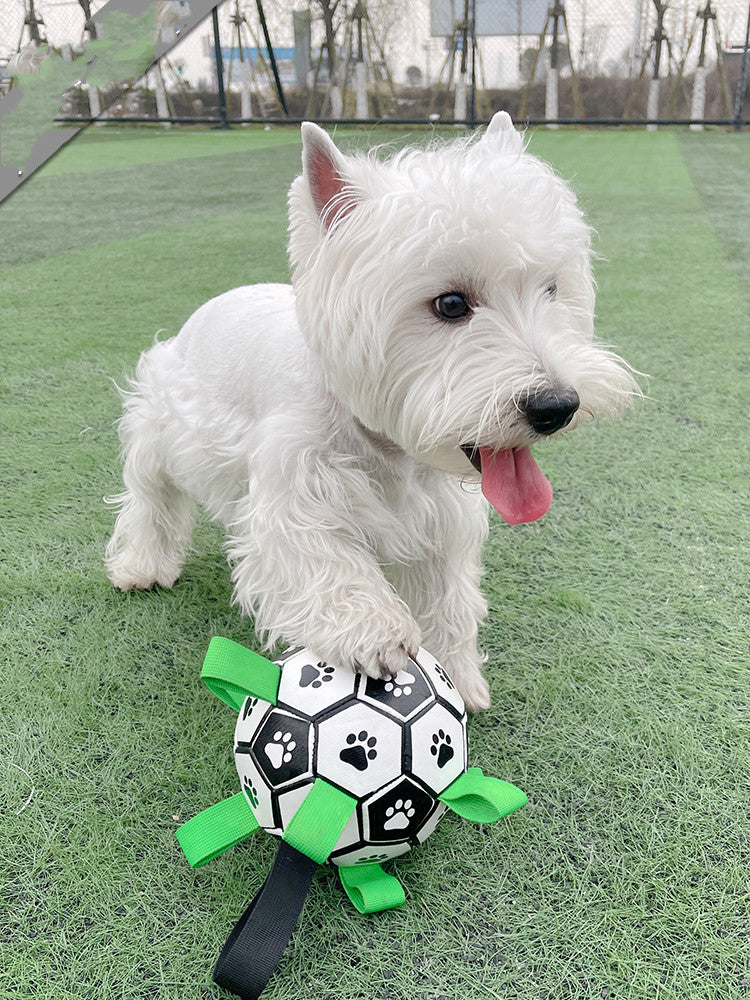 Fetch & Purr Lovely Paw Football dog toy made of durable material, featuring a fun paw print design for active pets.