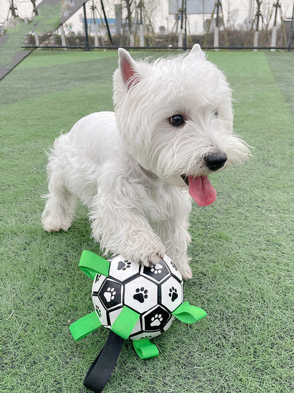 Fetch & Purr Lovely Paw Football dog toy made of durable material, featuring a fun paw print design for active pets.