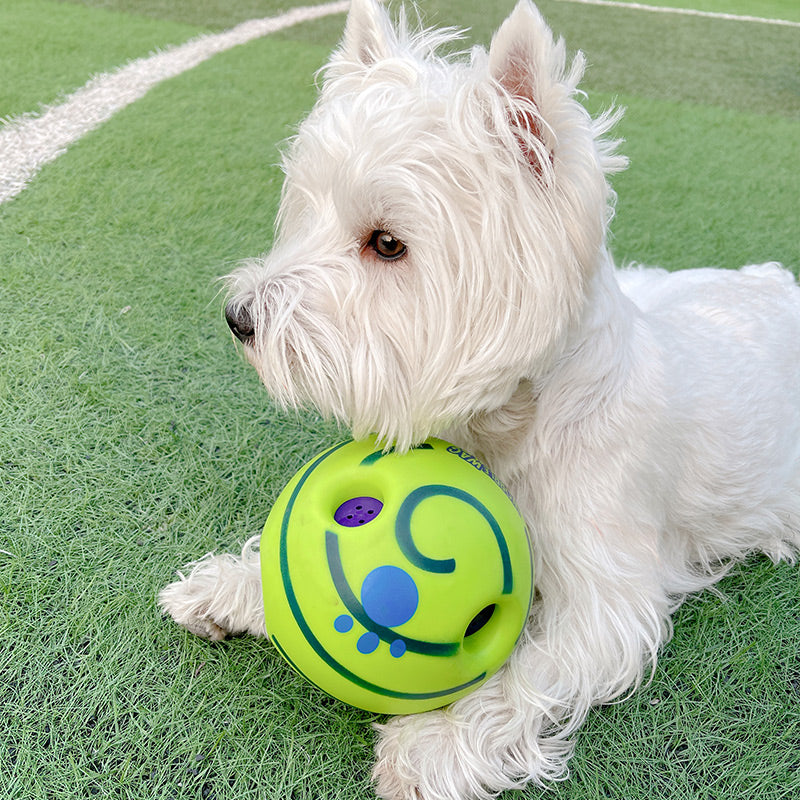 Fetch & Purr Lovely Paw Football Dog Toy made of soft material, featuring a paw print design, perfect for active pets.