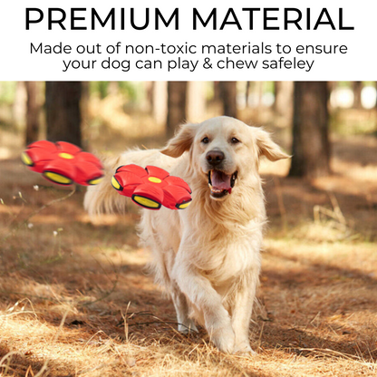 Fetch&Purr™ Dog Frisbee